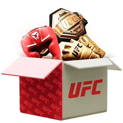 UFC mystery box